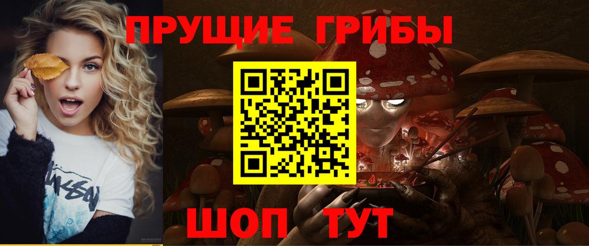 Галлюциногенные грибы прущие грибы  Вход с VPN  наркотики  Шатура 